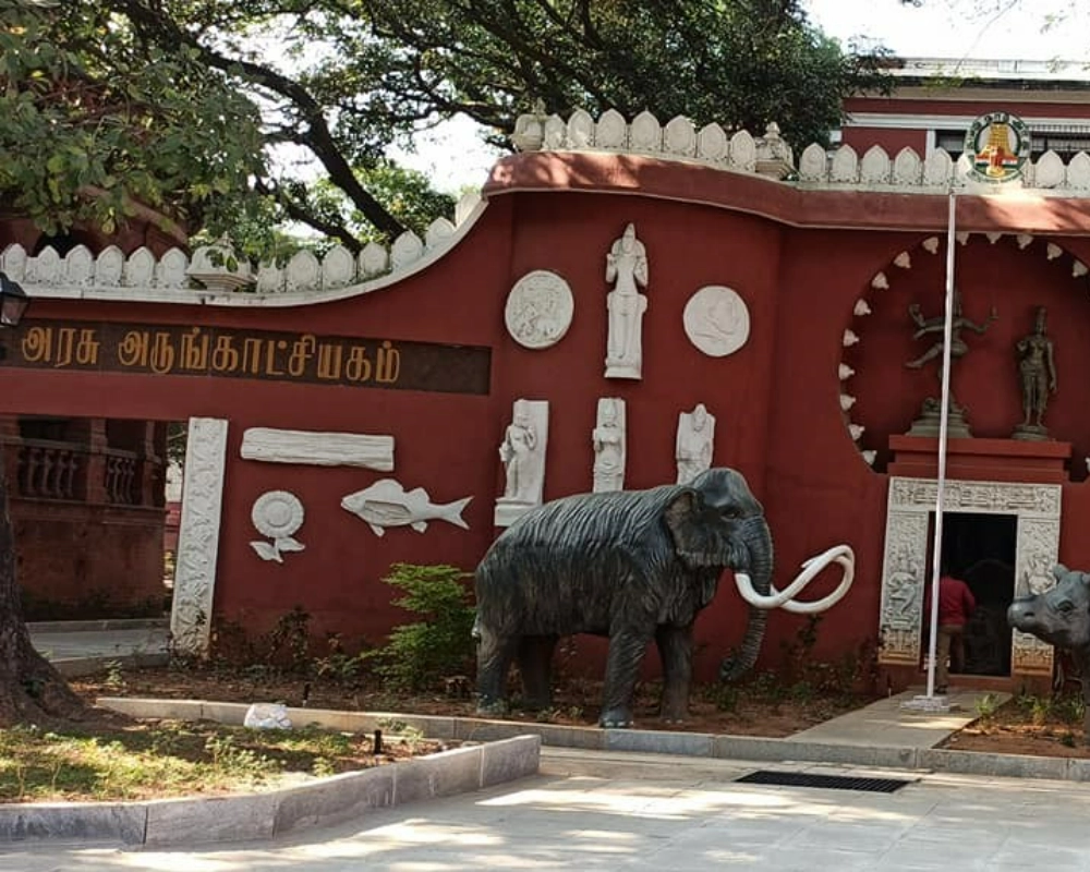 government museum - chennai