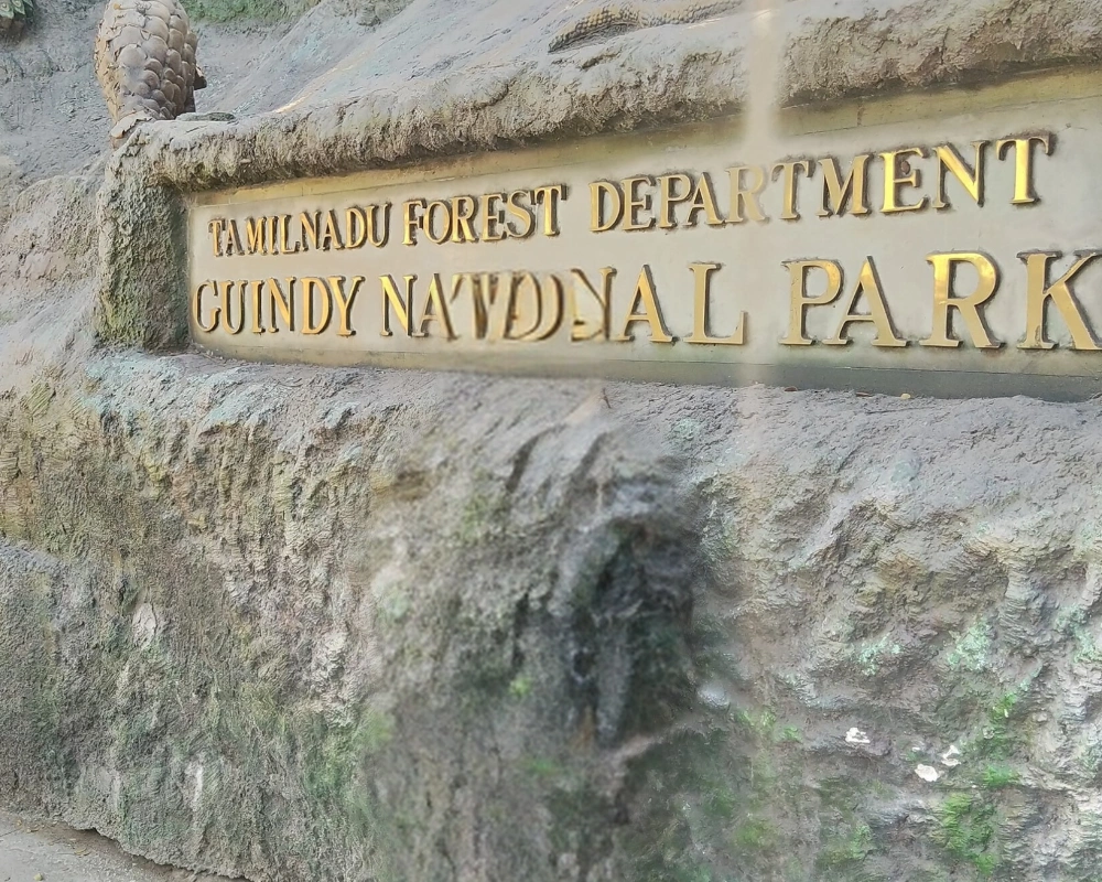 guindy national park
