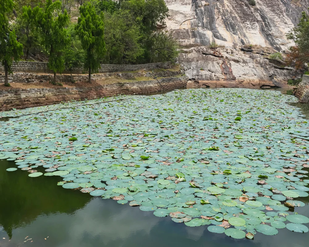 lake inside chandragiri fort