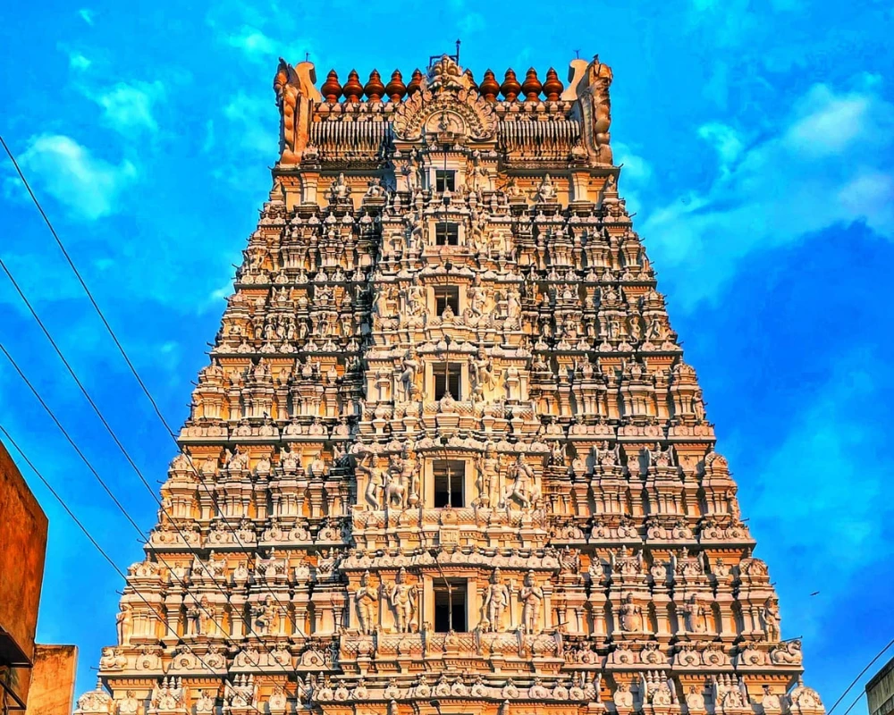 govindarajan temple