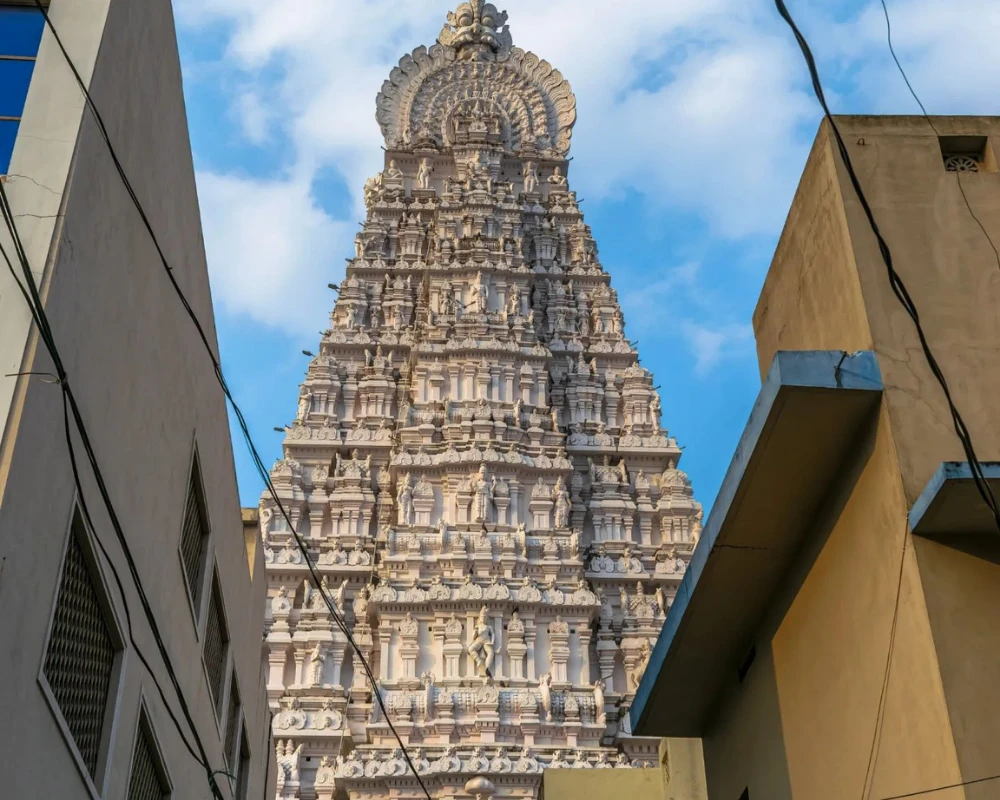 govindarajan temple
