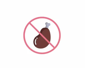 no non vegeterian food