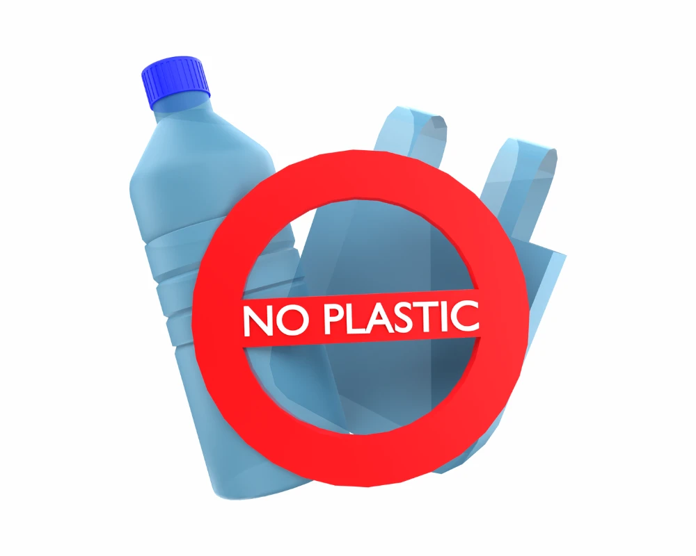no plastic allowed