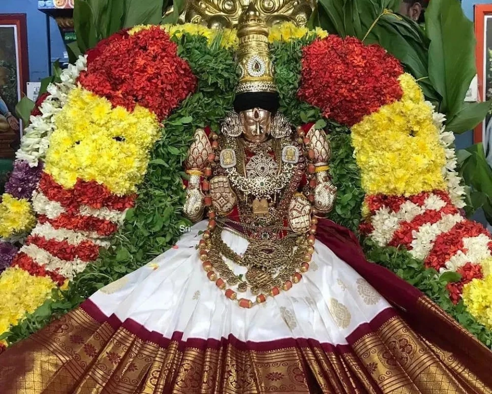 padmavathi amman tiruchanoor