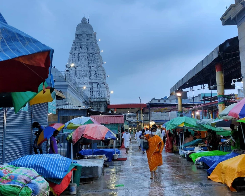 padmavathi temple tiruchanoor