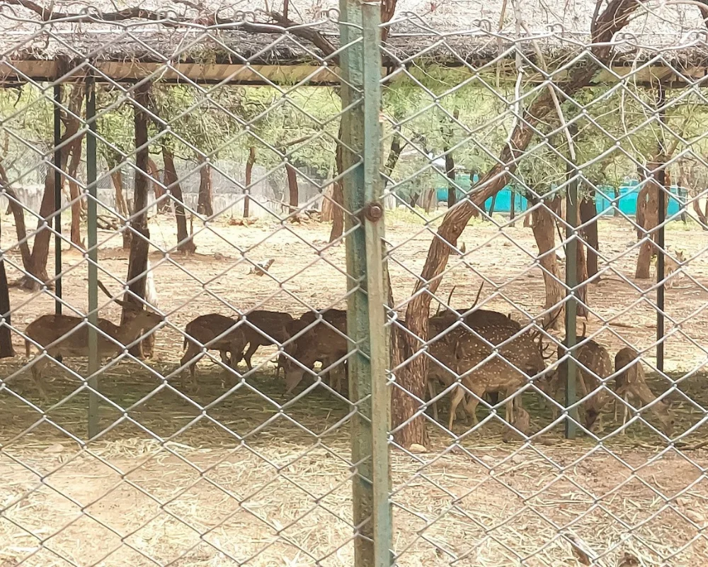 sri venkateshwara zoological park