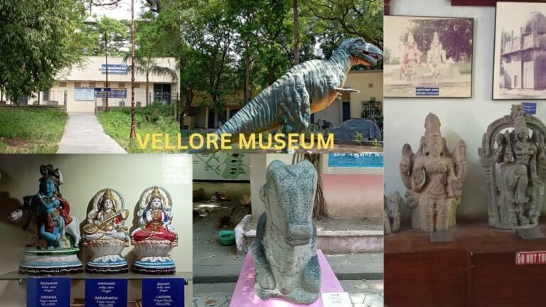 vellore museum all kids and tourist travelrs visiting places
