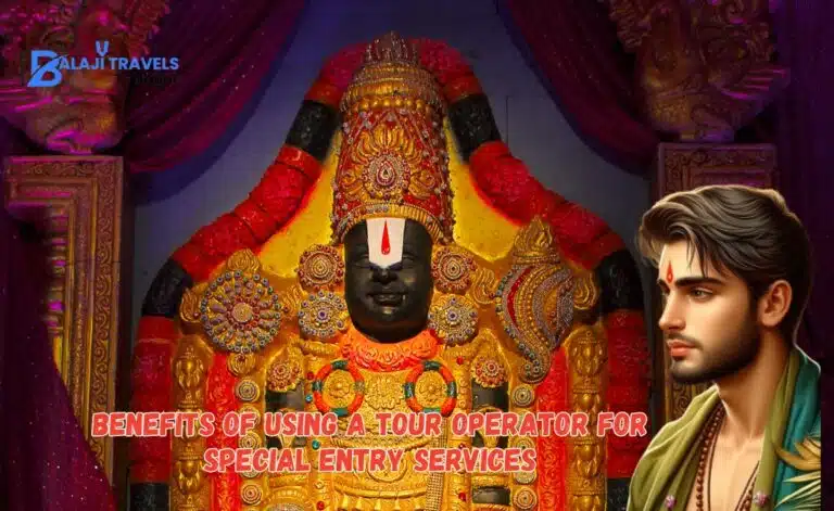 Benefits of Using a Tour Operator for Special Entry Services