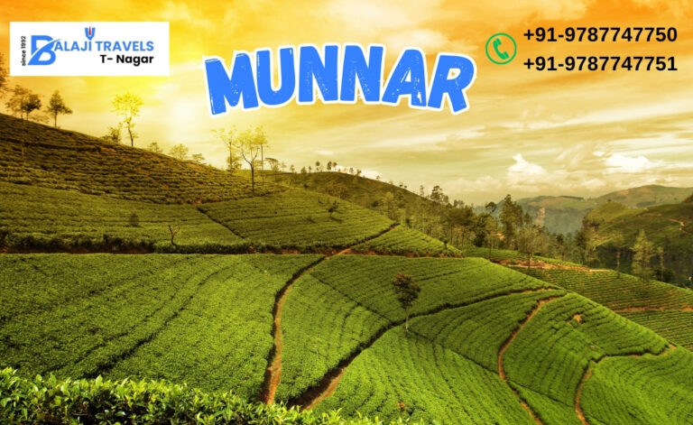 Perfect Coimbatore to Munnar Packages by Balaji Travels