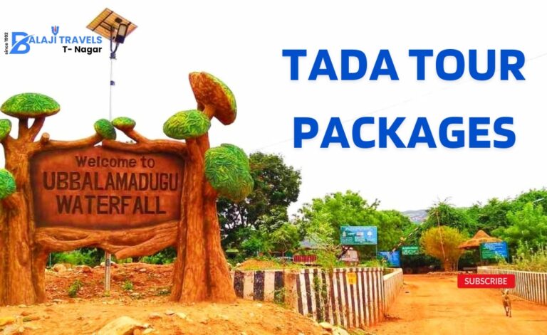 Chennai to Tada Tour Package with Balaji travels