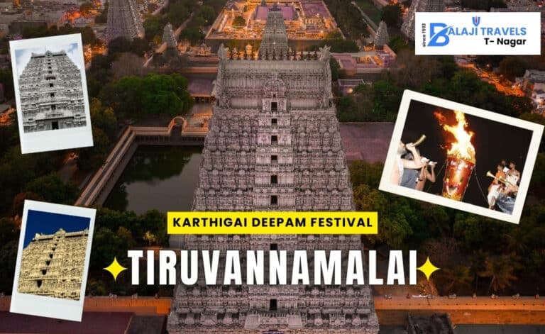 Karthigai Deepam Festival 2024 Celebration in Tiruvannamalai