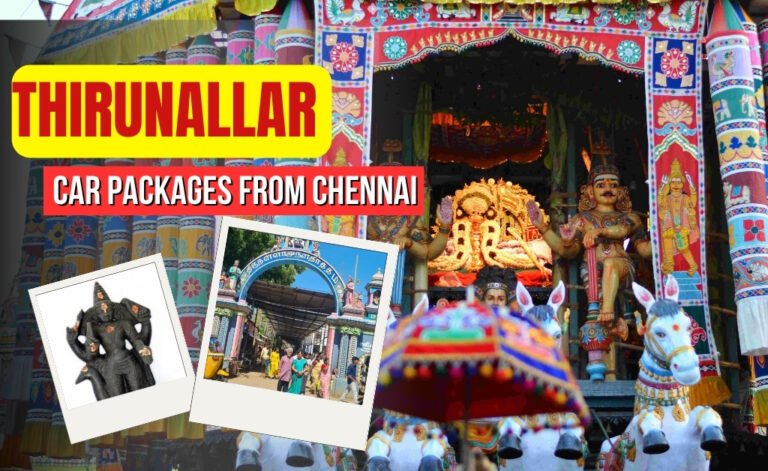 Affordable One Day Chennai to Thirunallar Tour Packages