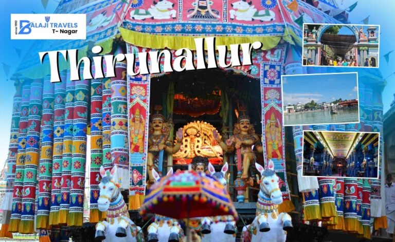 One Day Chennai to Thirunallar Tour Package Prices