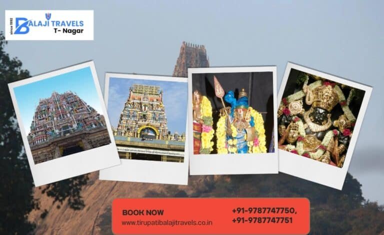 Visit Sholinghur Narasimha Swamy Temple from Tiruthani Package