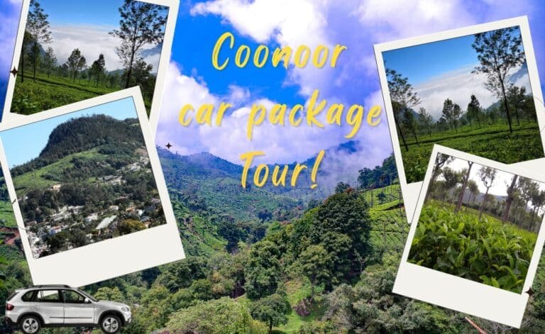 Coimbatore to Coonoor Tour Package with Balaji Travels T-Nagar