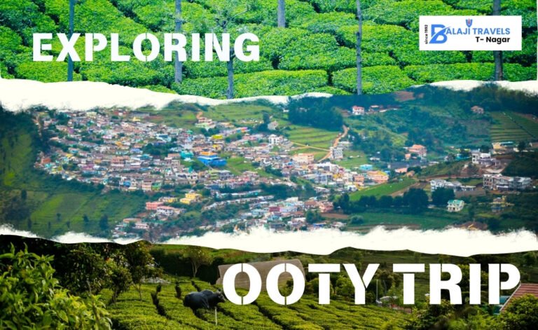 Coimbatore to Ooty One Day Car Trip with Balaji Travels