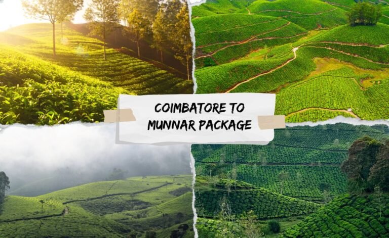 Discover Munnar with Coimbatore to Munnar Package