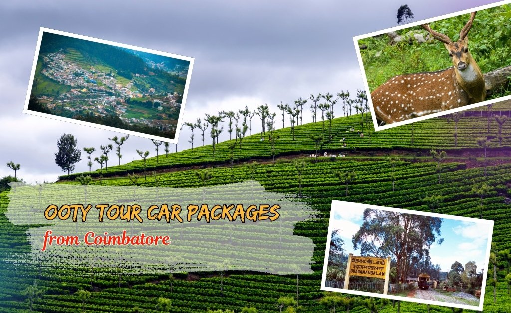 Ooty Tour Car Packages