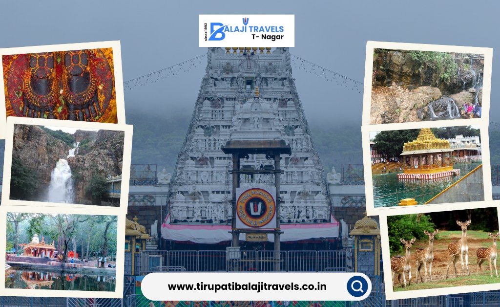 Explore Tirumala by Car with Our Sightseeing