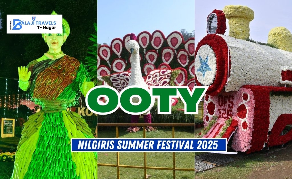 Nilgiris Summer Festival 2025