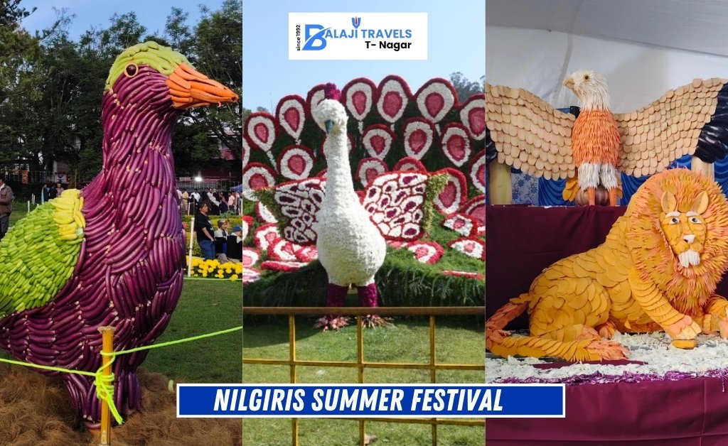 Nilgiris Summer Festival