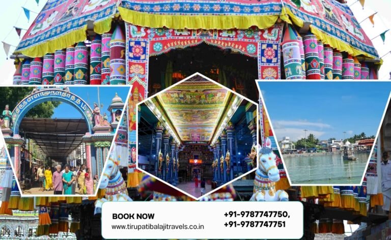 Explore Chennai to Thirunallar Temple Car Tour Package
