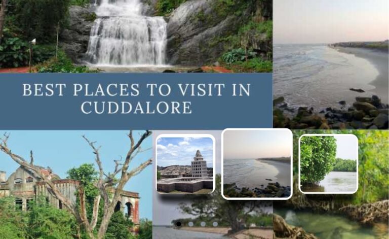 Explore Chennai to Cuddalore One Day Car Trip Package