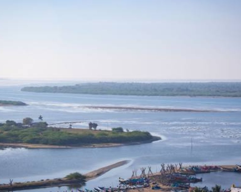 pulicat lake