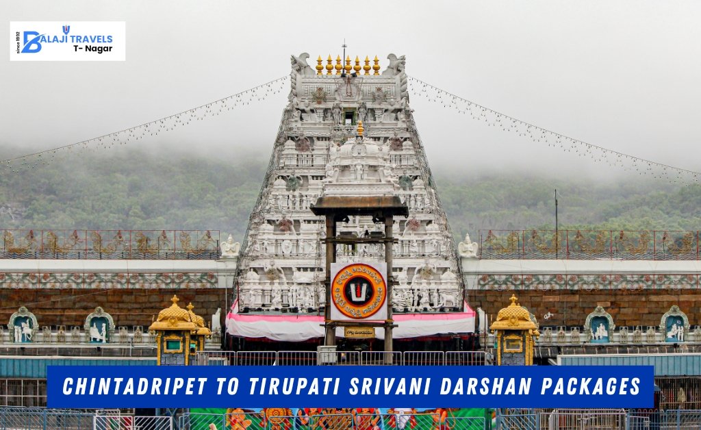Chintadripet to Tirupati Srivani Darshan Packages