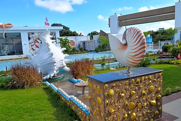 India-seashell-museum-mahabalipuram