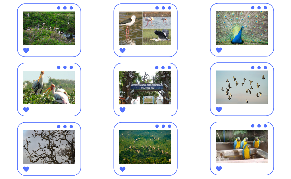 Vedanthangal One Day Package