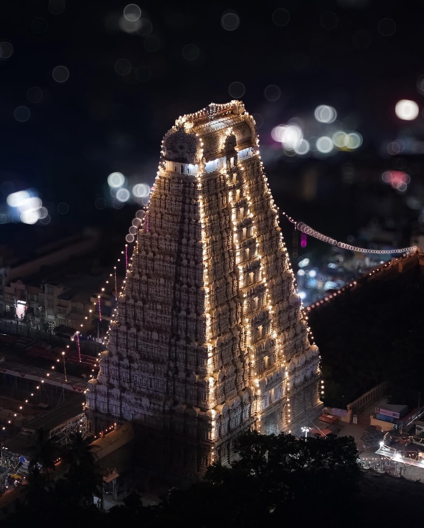 Tiruvannamalai Festival Transport