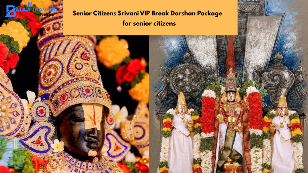 Srivani VIP Break Darshan